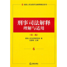 刑事司法解释理解与适用6（第2版）
