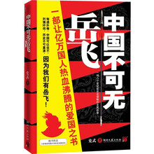 中国不可无岳飞