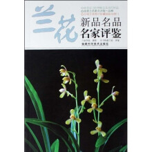 兰花新品名品名家评鉴