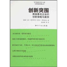 创新突围：美国著名企业的创新策略与案例