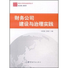 财务公司建设与治理实践/集团公司财务金融管理丛书