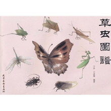 草虫图谱