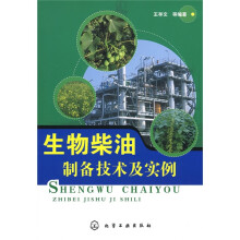 生物柴油制备技术及实例