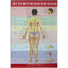 承门经脉经筋诊病及推拿挂图(附说明书1本)