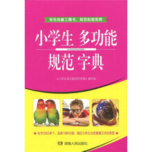 小学生多功能规范字典