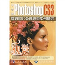 视觉：PhotoshopCS3数码照片处理典型实例精讲（中文版）（附DVD光盘1张）