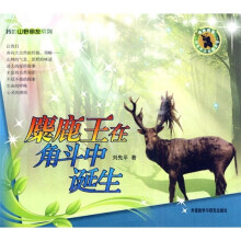 麋鹿王在角斗中诞生