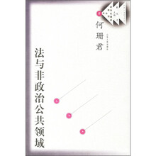 法与非政治公共领域