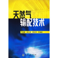 天然气输配技术