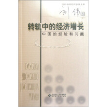 转轨中的经济增长:中国的经验和问题