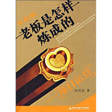 老板是怎样炼成的:项目运营