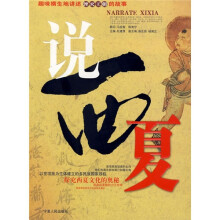 说西夏