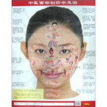 中医面部刮痧示意图