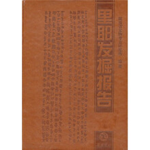 里耶发掘报告