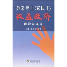 外来劳工（农民工）权益救济理论与实务