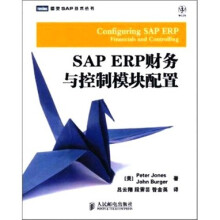SAP ERP财务与控制模块配置