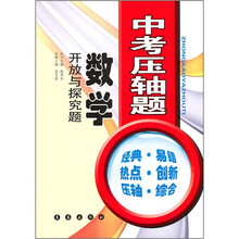 中考压轴题：数学（开放与探究题）