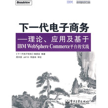 下一代电子商务:理论、应用及基于IBM WebSphere Commerce平台的实践