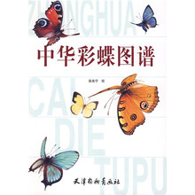 中华彩蝶图谱