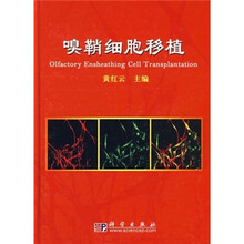 嗅鞘细胞移植