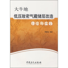 大牛地低压致密气藏储层改造理论与实践