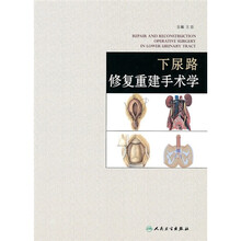 下尿路修复重建手术学
