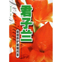 君子兰：栽培养护疑难问答