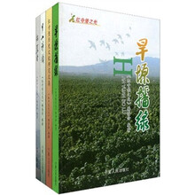 红寺堡之光（套装共5册）