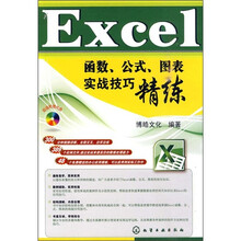 Excel函数、公式、图表实战技巧精练(附光盘)