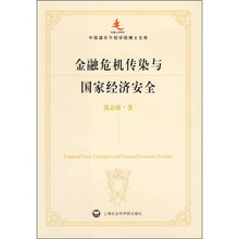 金融危机传染与国家经济安全