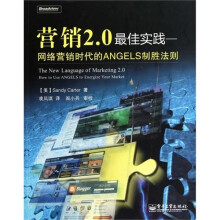 营销2.0最佳实践：网络营销时代的ANGELS制胜法则