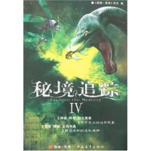 秘境追踪4