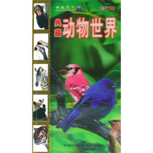 典藏动物世界