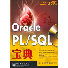 Oracle PL/SQL宝典（附DVD光盘1张）