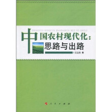 中国农村现代化：思路与出路