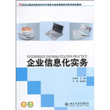 企业信息化实务