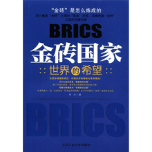金砖国家：世界的希望