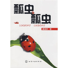 瓢虫 瓢虫