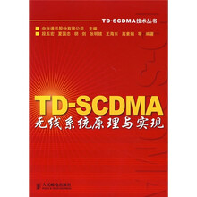 TD-SCDMA无线系统原理与实现