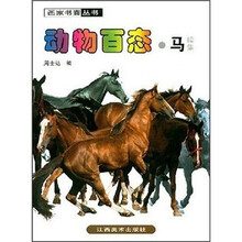 动物百态·马（续集）