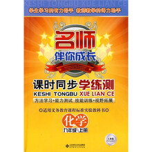 名师伴你成长·课时同步学练测:化学(9年级上册)(人教版)(附赠测试卷)