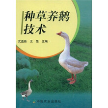 种草养鹅技术