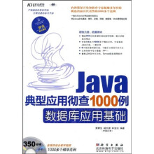 Java典型应用彻查1000例:数据库应用基础