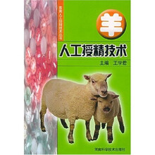 羊人工授精技术
