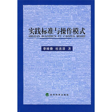实践标准与操作模式