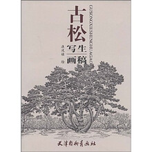 古松写生画稿