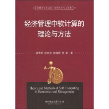 经济管理中软计算的理论与方法