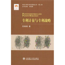 专利计量与专利战略/知识计量与知识图谱丛书