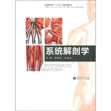系统解剖学