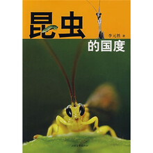 昆虫的国度